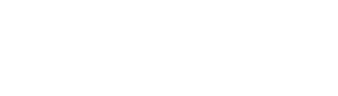 Bsmlogo transparent1